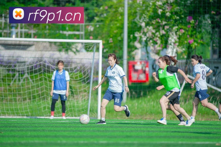 易倍emc中文官网APP 高清赛事图